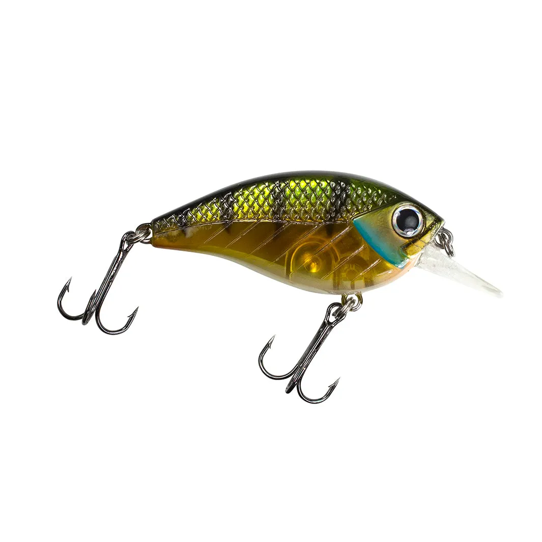 Impact Jolt 2.5F - Flat Sided Squarebill
