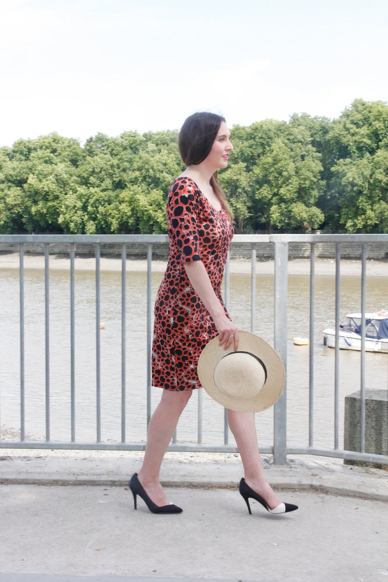 Suzannah Dress - Animal Print